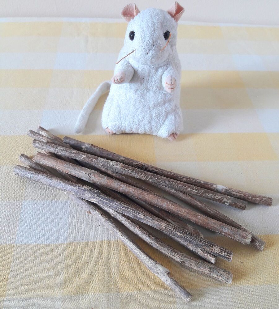 20cm Buddleia Wood Sticks - UK Homegrown - 10 Mixed Thickness Sticks