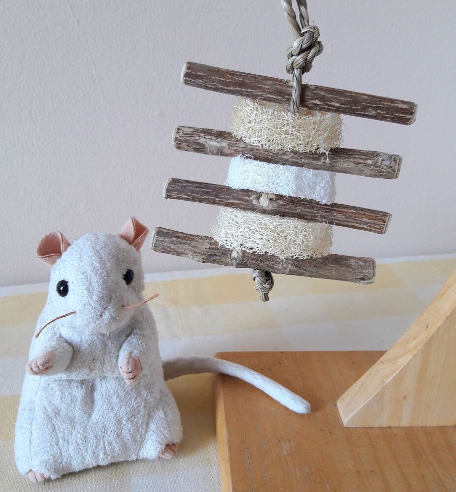 Buddleia Wood and Loofah Chew Toy - UK Homegrown