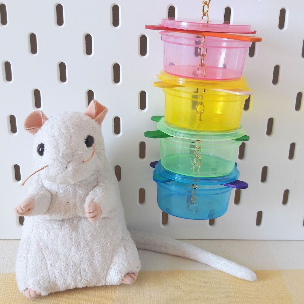 Rainbow Hanging Multi Pot Forager