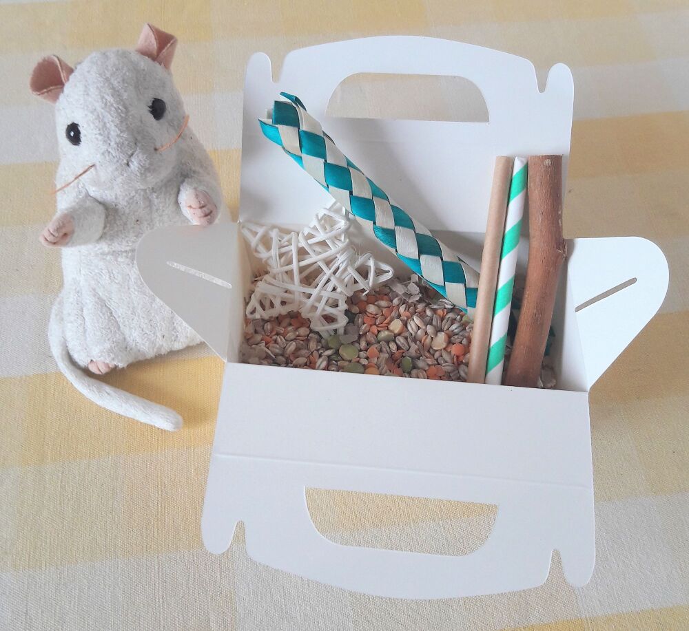 Natural Treat and Chew Party Box 50g
