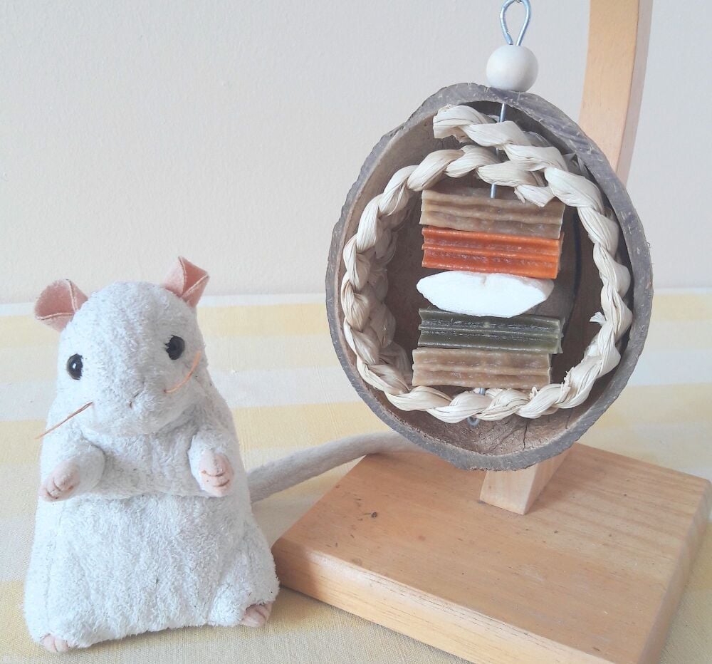 Nibble and Gnaw Refillable Coconut Shell with Cuttle bone and Whimzees treats