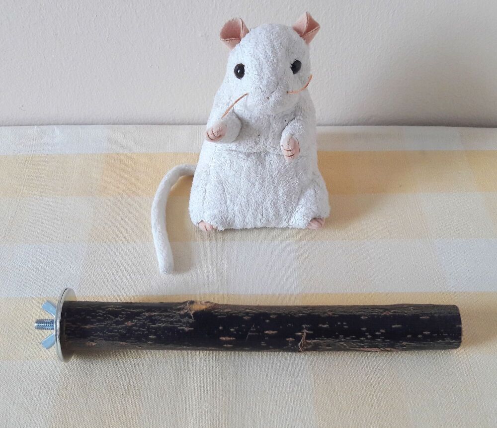 20cm Bolt On Perch Dark- UK Homegrown Willow Wood