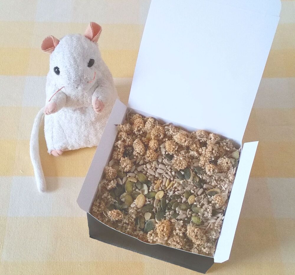 Seed Sensation Forage Box 50g