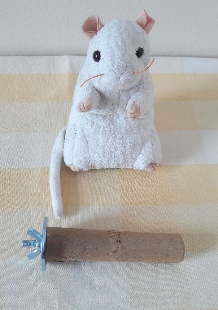 10cm Bolt On Pale Mini Perch - UK Homegrown Willow Wood