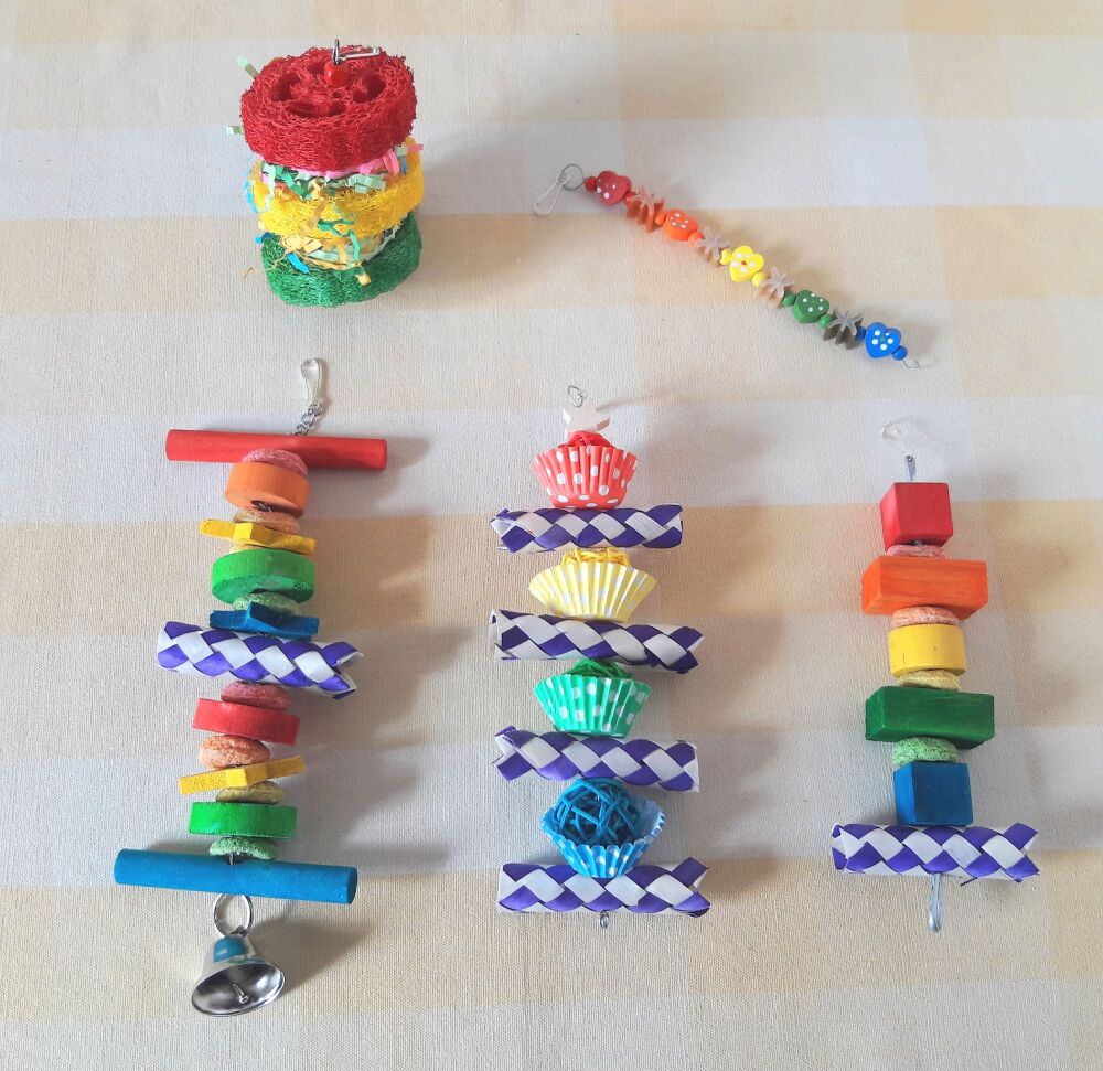 Nibble and Gnaw Rainbow Bundle - 5 Items