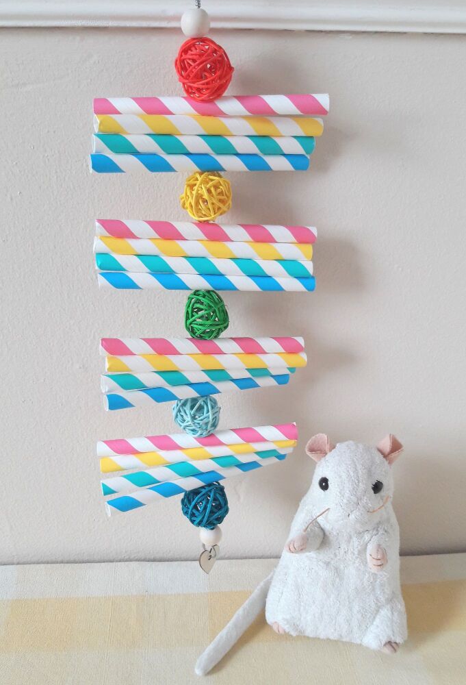Large Pastel Rainbow Shredder Chew Toy