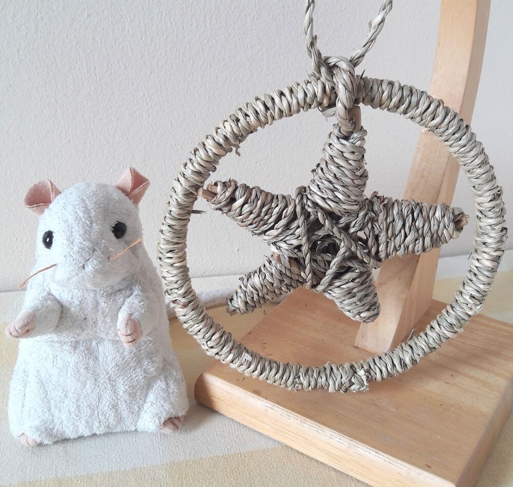 Seagrass Star Chew Ring