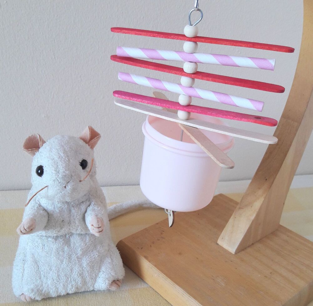 Pink Hanging Pot Forager