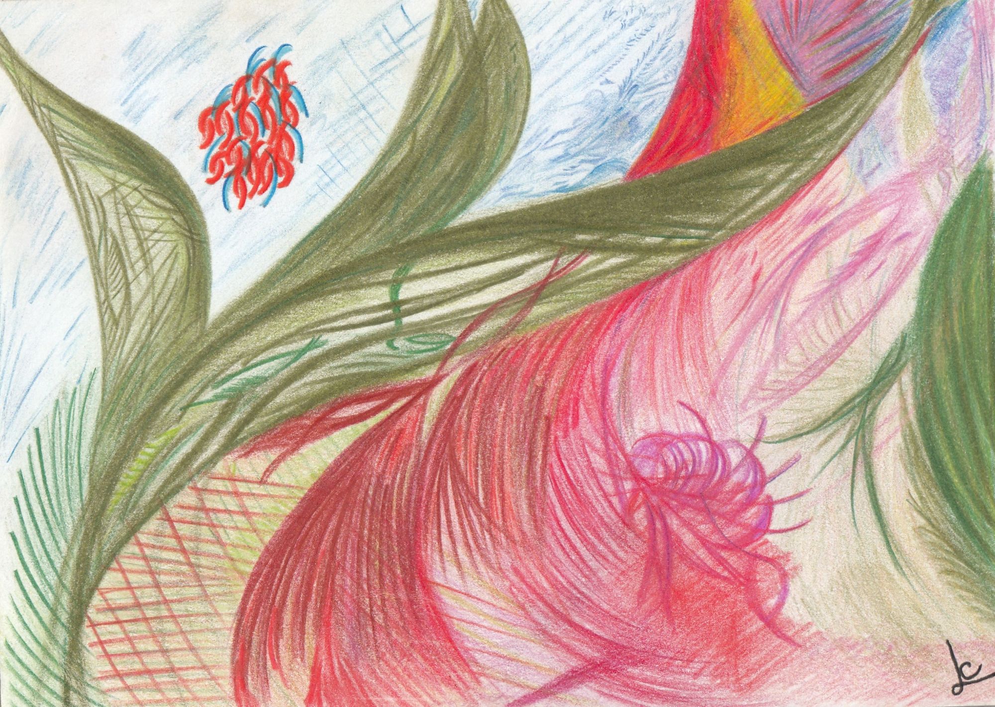 Pencil Crayon - Flora & Fauna