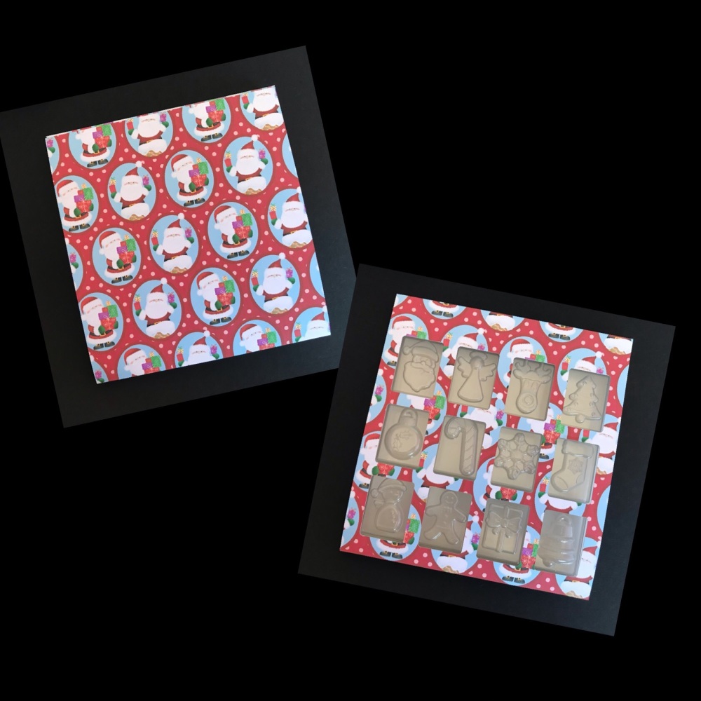  Tllc 12 Days of Christmas Clamshell Sleeve (Made to Order)