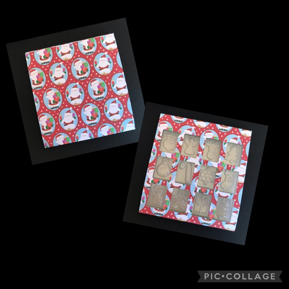 TLLC 12 Days of Christmas Clamshell Sleeve (Made to Order)