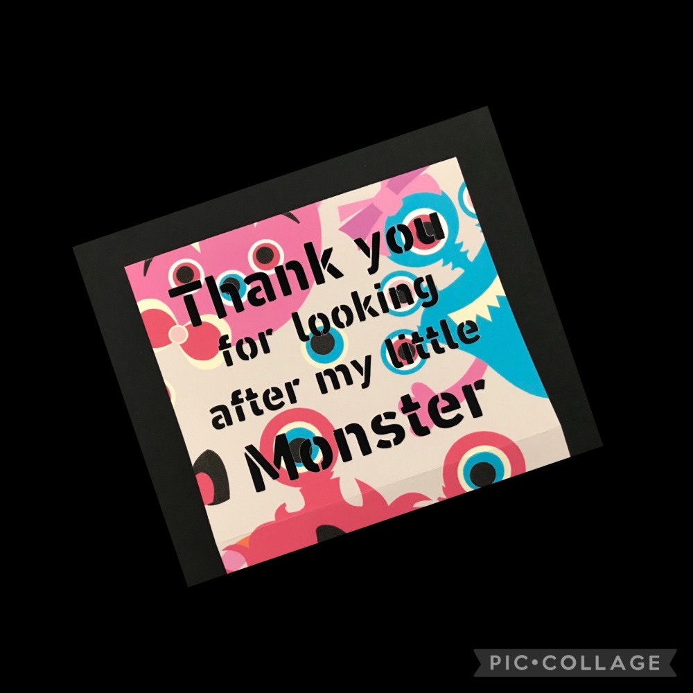 'Thank You for looking after my little Monster&rsquo; Home Bargains Box Sleeve Female