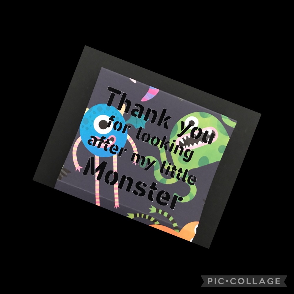 &lsquo;Thank You for looking after my little Monster&rsquo; Home Bargains Box Sleeve Male