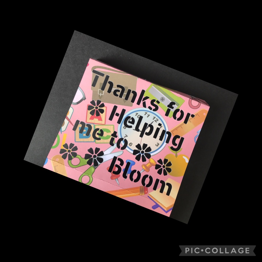 Thanks for Helping me to Bloom Home Bargains Box Sleeve Female