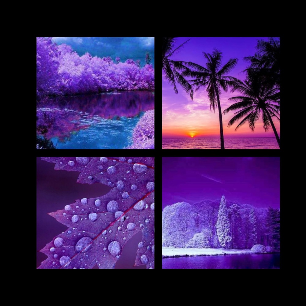 Seasonal Designs