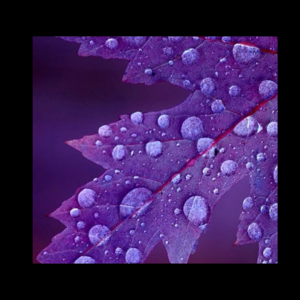 <!&mdash;010&ndash;>Autumn Card Designs