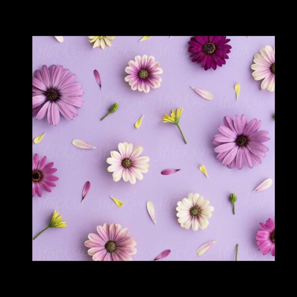 <!&mdash;010&ndash;>Flower Card Designs