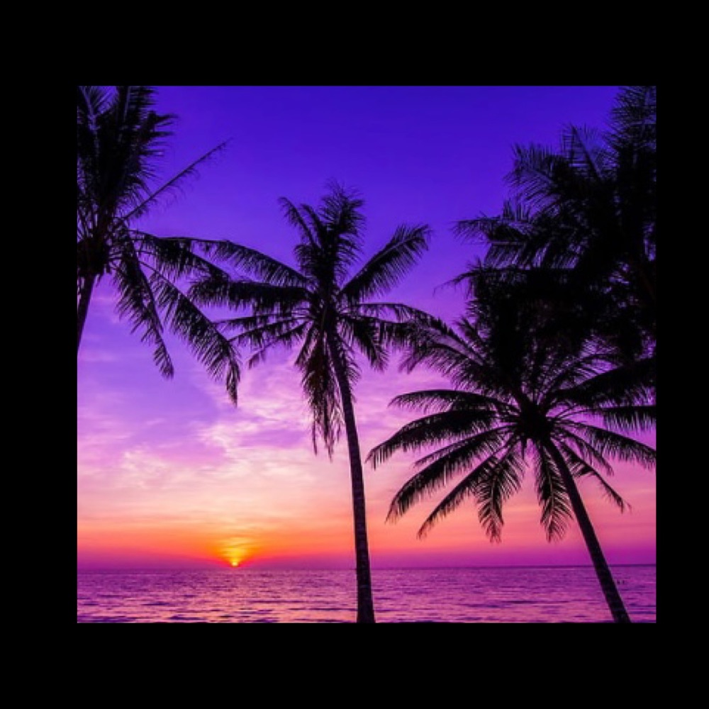 Sun, Sea and Sand Fragrances