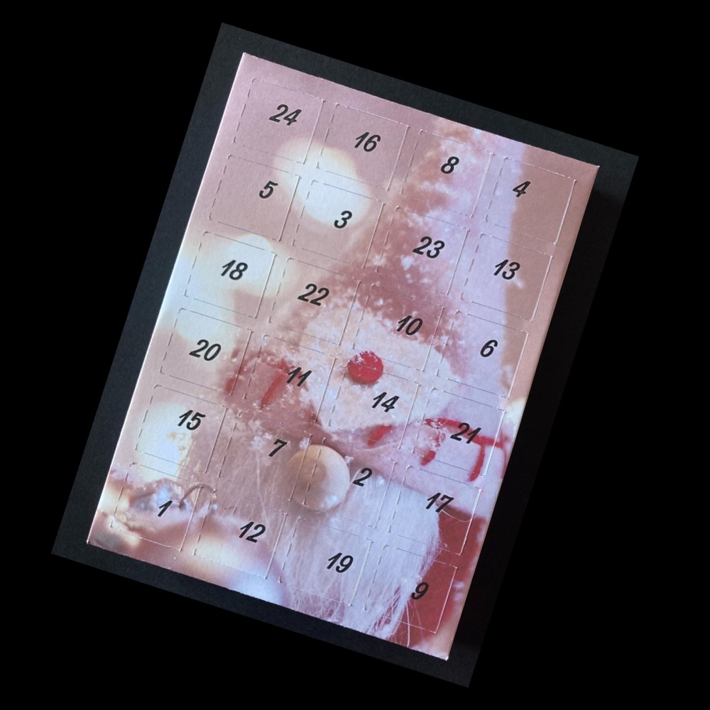 24 Day Gnome Portrait Advent Calendar in Pink