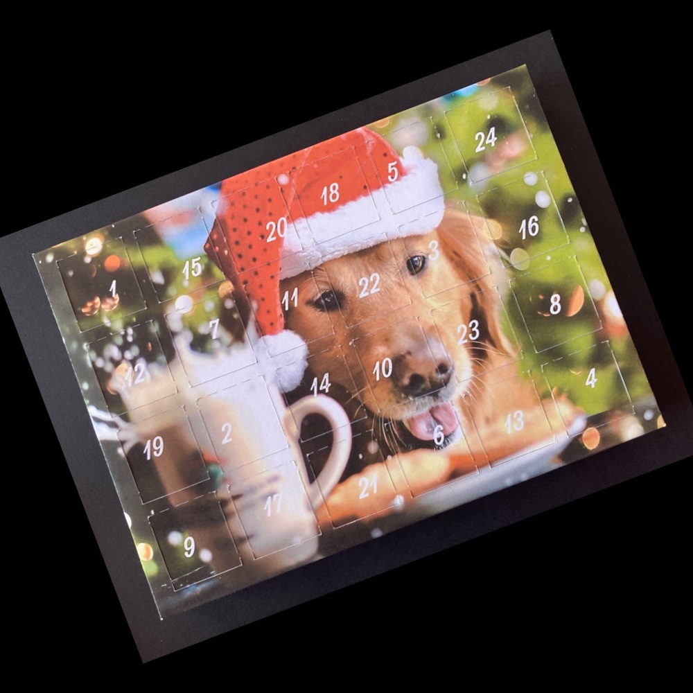 24 Day Dog in Santa's Hat Landscape Advent Calendar in Red, White and Green