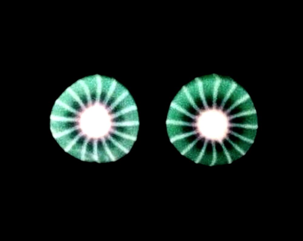 *No.604 Mini Kiwi Fruit Slice Stud Earrings