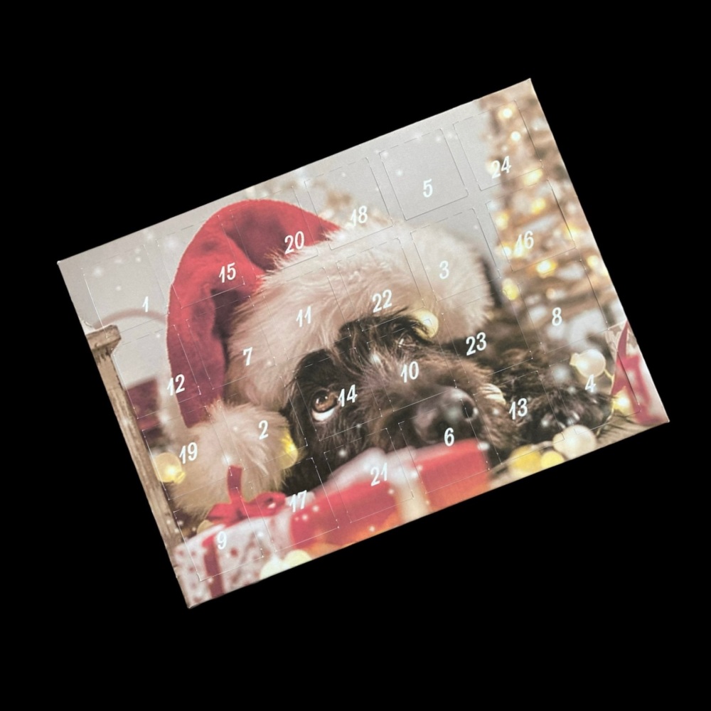 24 Day Christmas Dog and Presents Landscape Advent Calendar in Red, Gold and Brown
