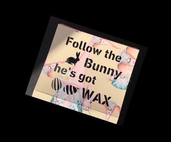  Follow the Bunny he's got Wax Home Bargains Box Sleeve