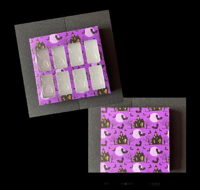 Fizzywhiz Burner Clamshell Box Sleeve (Made to Order)