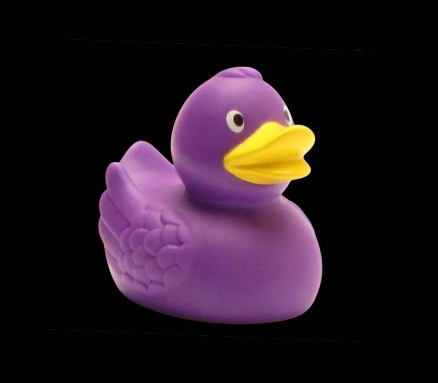 If it Walks Like a Duck and Quacks Like a Duke