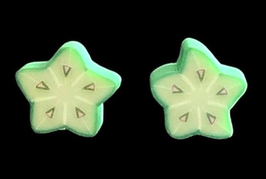 *Mini Star Fruit Slice Stud Earrings