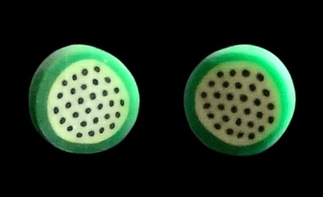 *Mini Passion Fruit Slice Stud Earrings