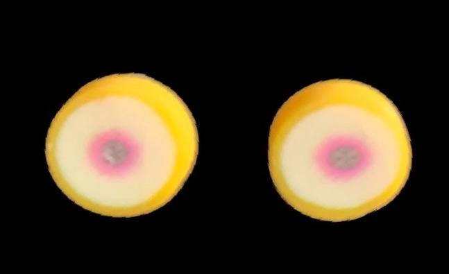 *Mini Pomelo Slice Stud Earrings