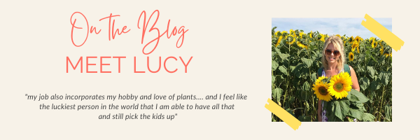 Lucy on the blog - newsletter