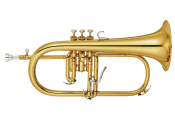 <!-- 003 -->Flugel Horn & Brass Band