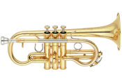 <!-- 001 -->Eb Soprano Cornet & Brass Band