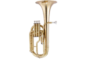 <!-- 004 -->Tenor Horn & Brass Band
