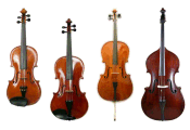 String Instruments & Accessories