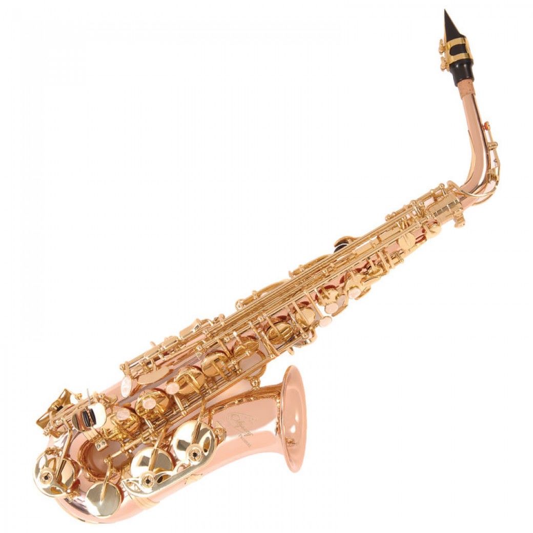 Odyssey Premiere 'Eb' Alto Saxophone Outfit – Rose/Gold