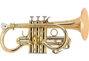 <!-- 001 -->Soprano Cornet & Brass Band