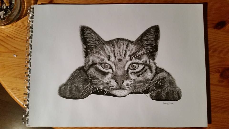 Kittan