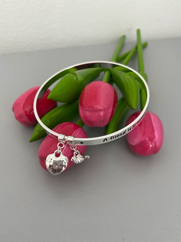Silver Friendship Bangle with Heart and Robin Charms