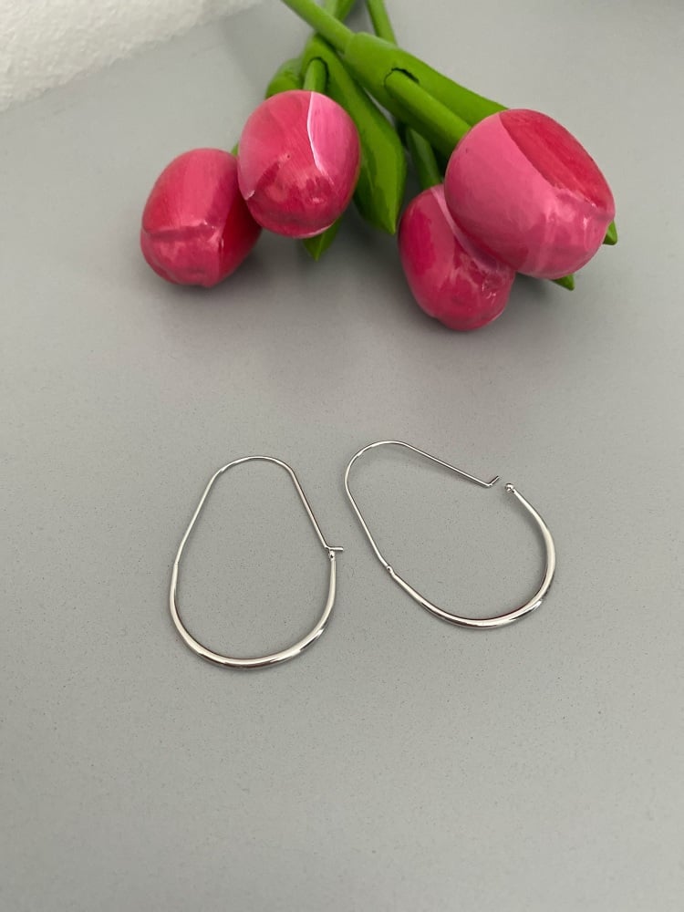 Contemporary Hoop Earrings with Hook Closure