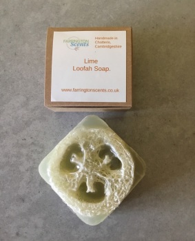 Lime Loofah Soap