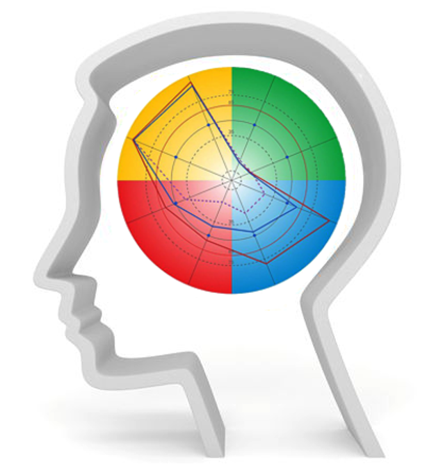 PRISM brainmapping