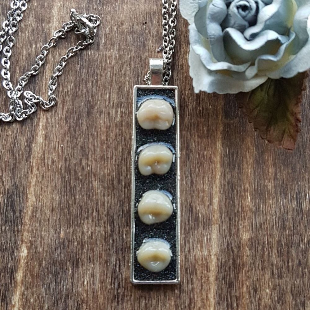 Human Denture Teeth Earrings Pendant Necklace