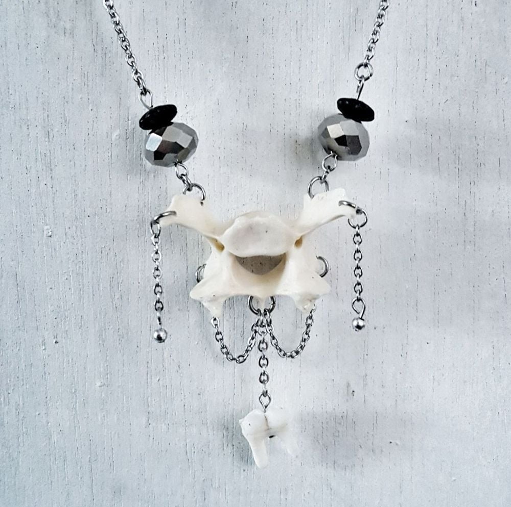 Fox Vertebrae Bone And Tooth Victorian Style Necklace