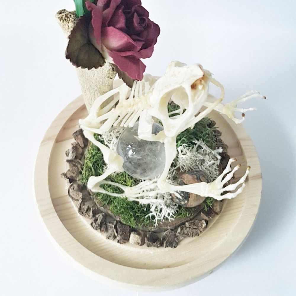 Frog Skeleton With Clear Quartz Crystal Ball In Dome