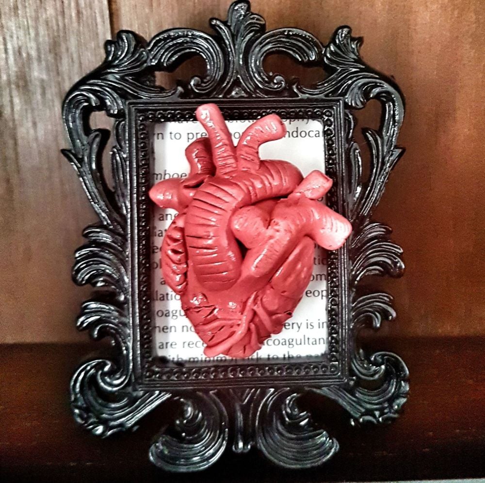 Decorative Resin Frame With Sculpted Heart - Anatomy