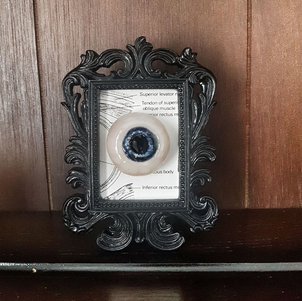 Decorative Resin Frame With Sculpted Eye- Anatomy