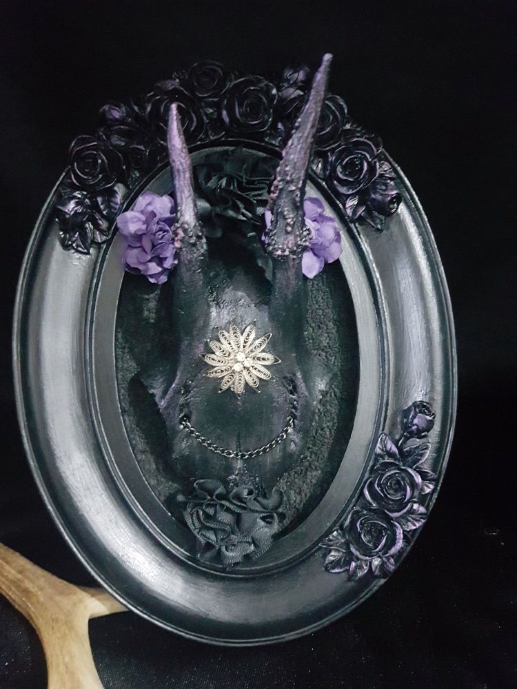 Gothic Roe Deer Skull In Oval Ornate Frame